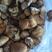 猴头菇，纯野生猴头菇，长白山的野生猴头菇