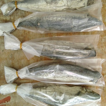 梅香马鲛鱼咸香净肉腌制咸香海鱼海产海货咸鱼茄子煲梅香