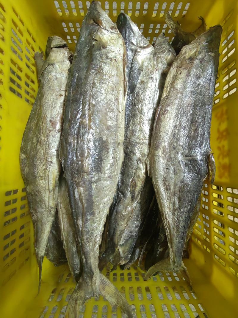 梅香马鲛鱼咸香净肉腌制咸香海鱼海产海货咸鱼茄子煲梅香