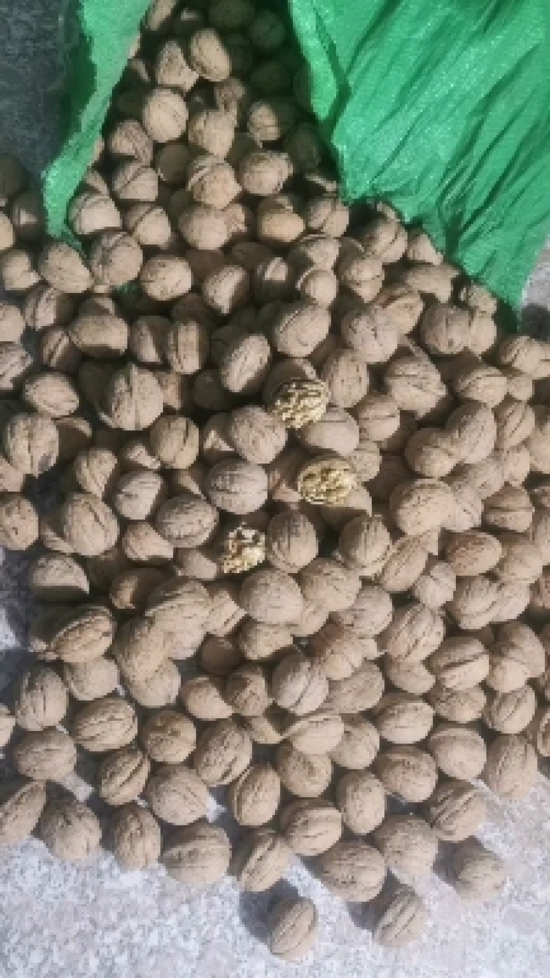 薄皮核桃
