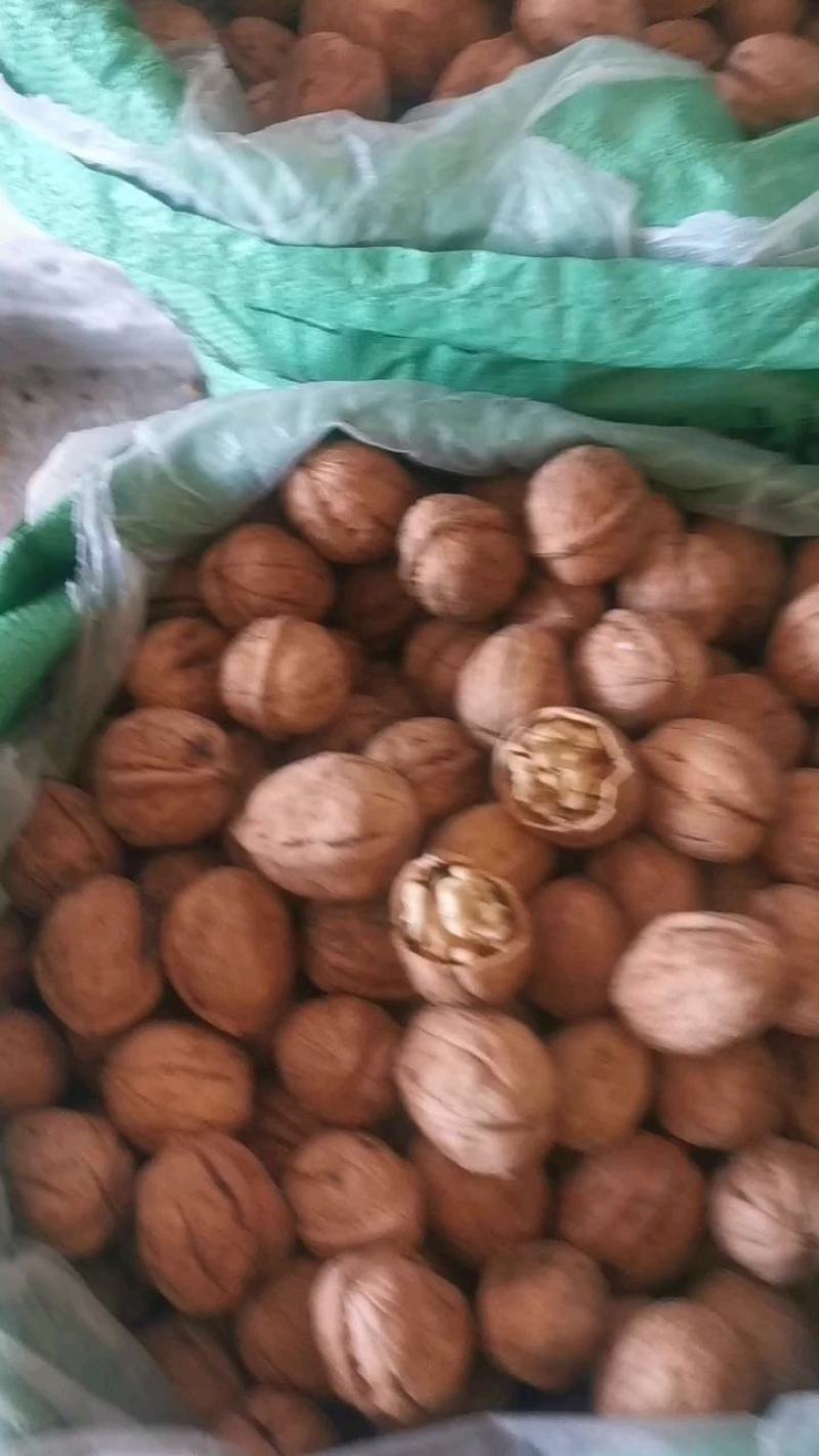 薄皮核桃