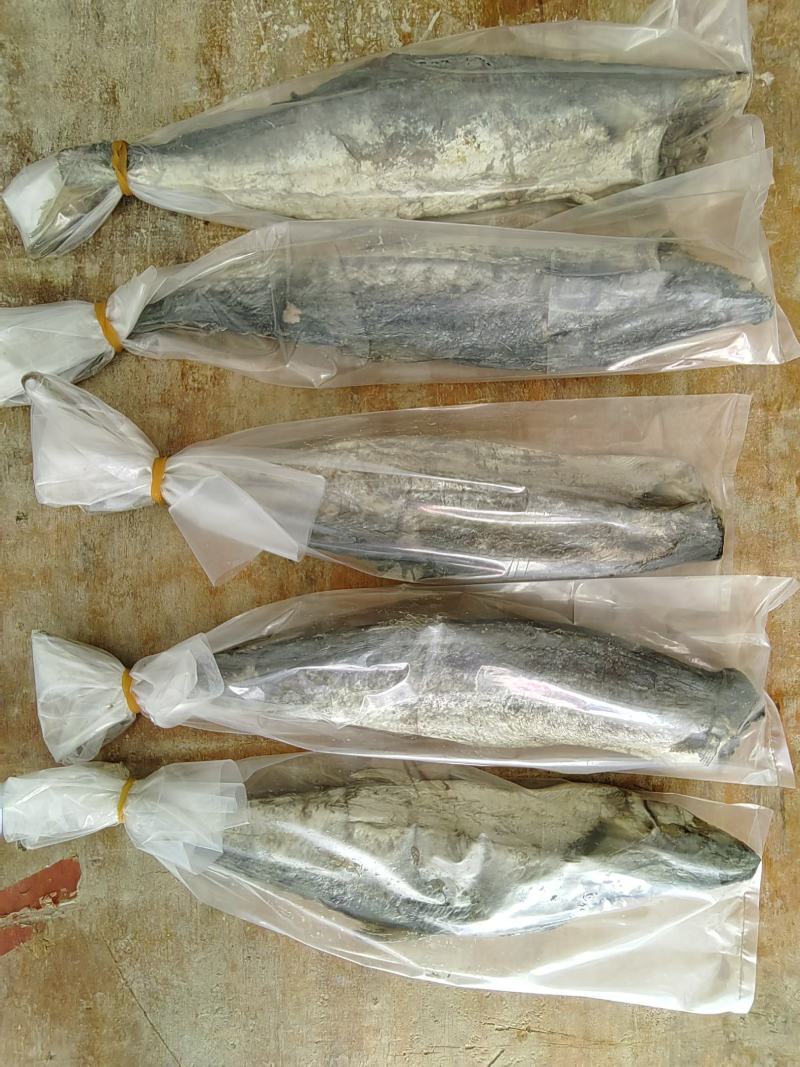 梅香马鲛鱼咸香净肉腌制咸香海鱼海产海货咸鱼茄子煲梅香