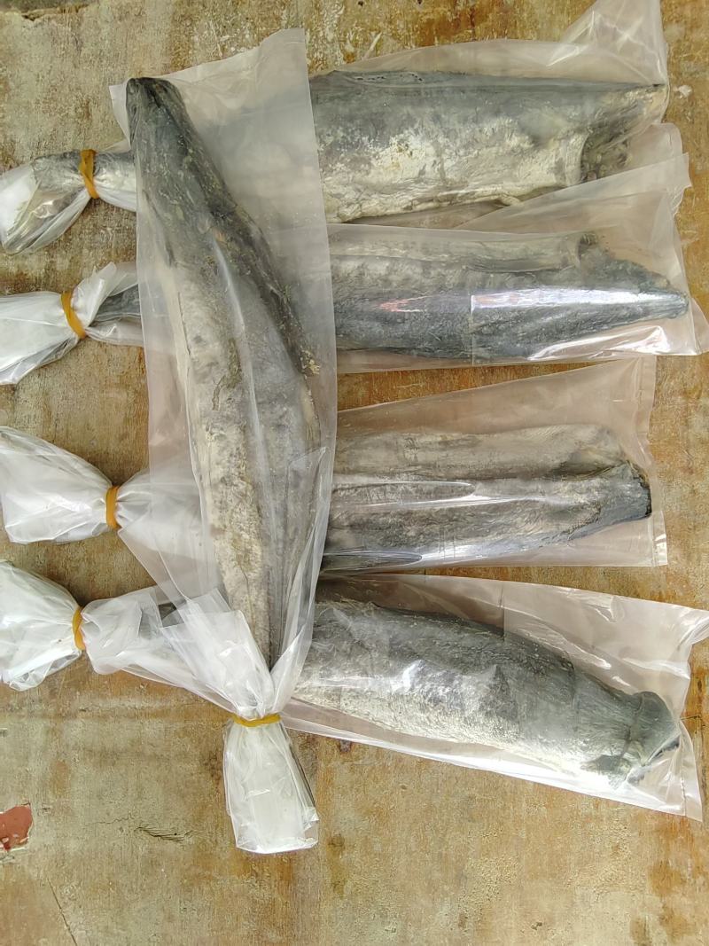 梅香马鲛鱼咸香净肉腌制咸香海鱼海产海货咸鱼茄子煲梅香