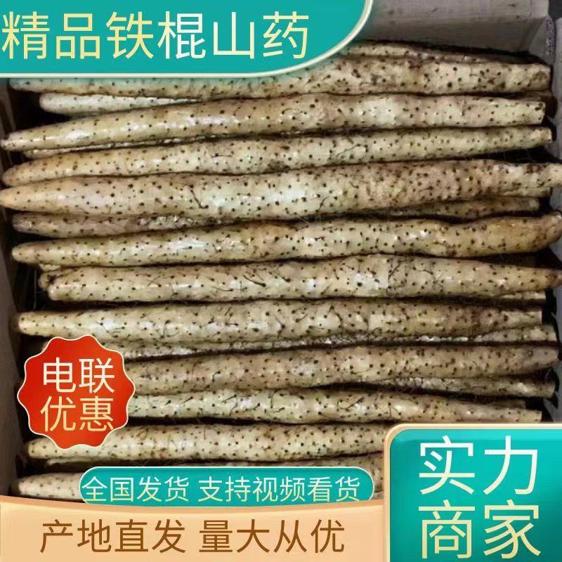 【实力推荐】棒山药，600亩基地，量大从优，代发全国各地