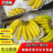 特价巴西蕉水果巴西蕉质量保证，价格实惠