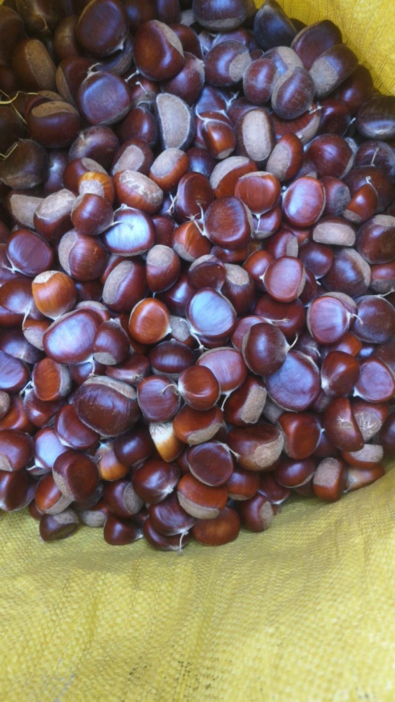 板栗大粒炒栗