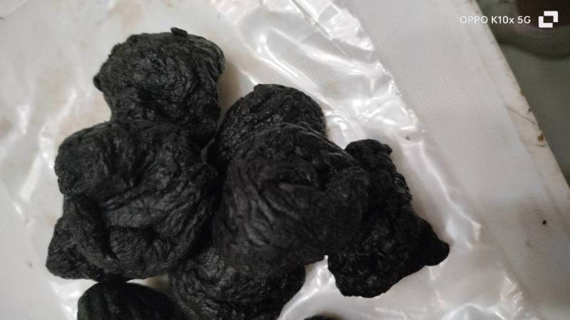 【精品】河南熟地黄货量充足量货源充足，量大从优，物价美