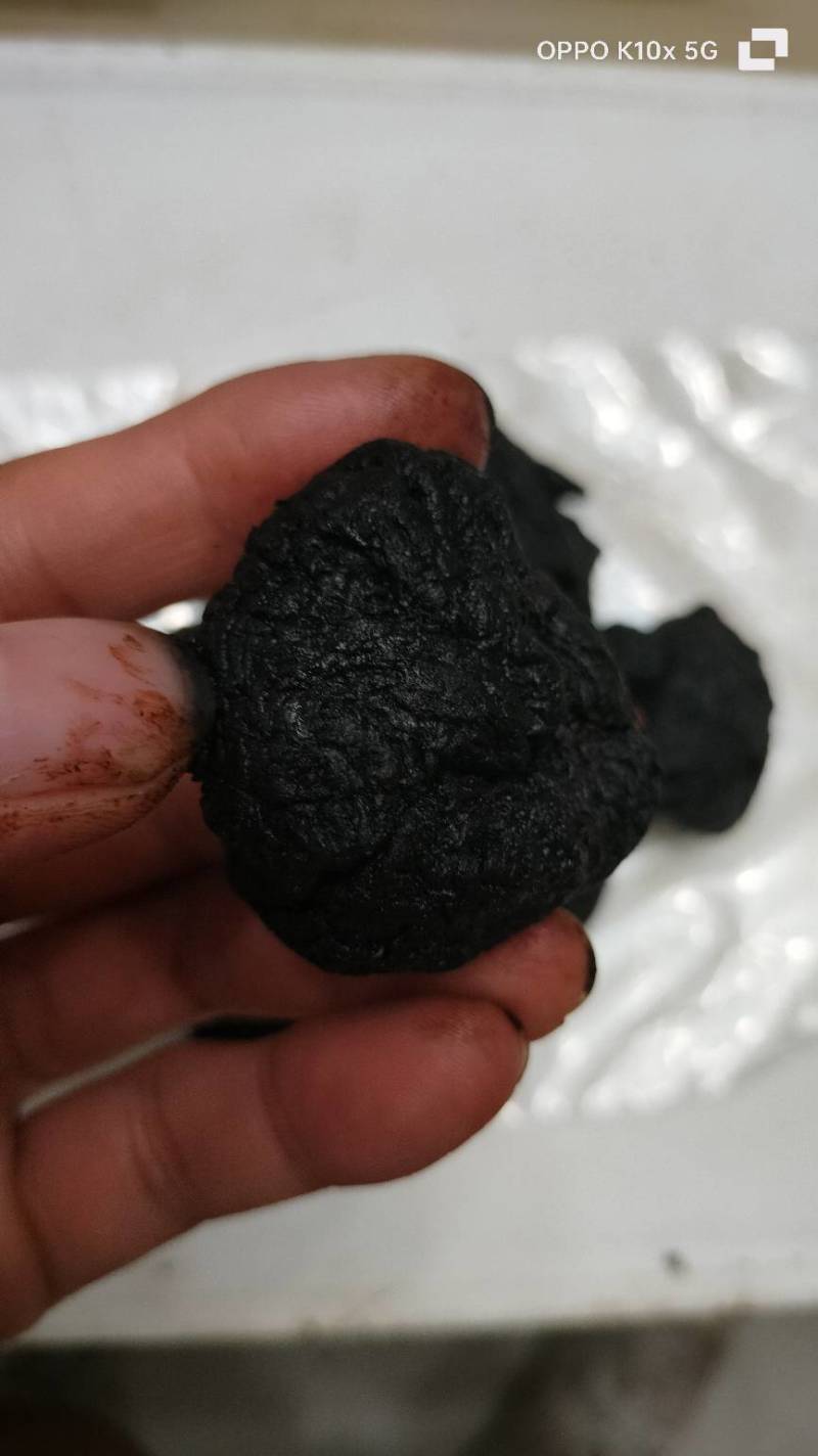 【精品】河南熟地黄货量充足量货源充足，量大从优，物价美