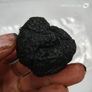【精品】河南熟地黄货量充足量货源充足，量大从优，物价美