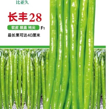 线椒种子长丰28长果顺直钝尖薄皮早熟挂果多可长到40