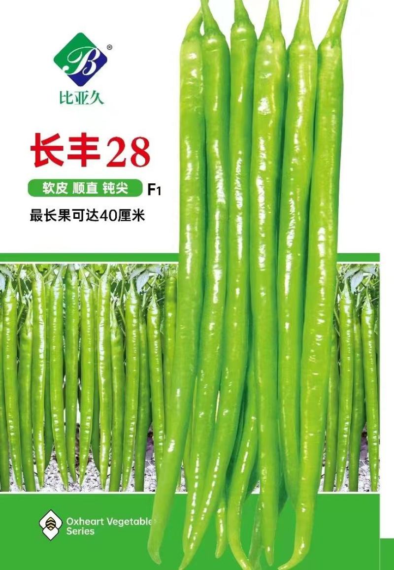 线椒种子长丰28长果顺直钝尖薄皮早熟挂果多可长到40