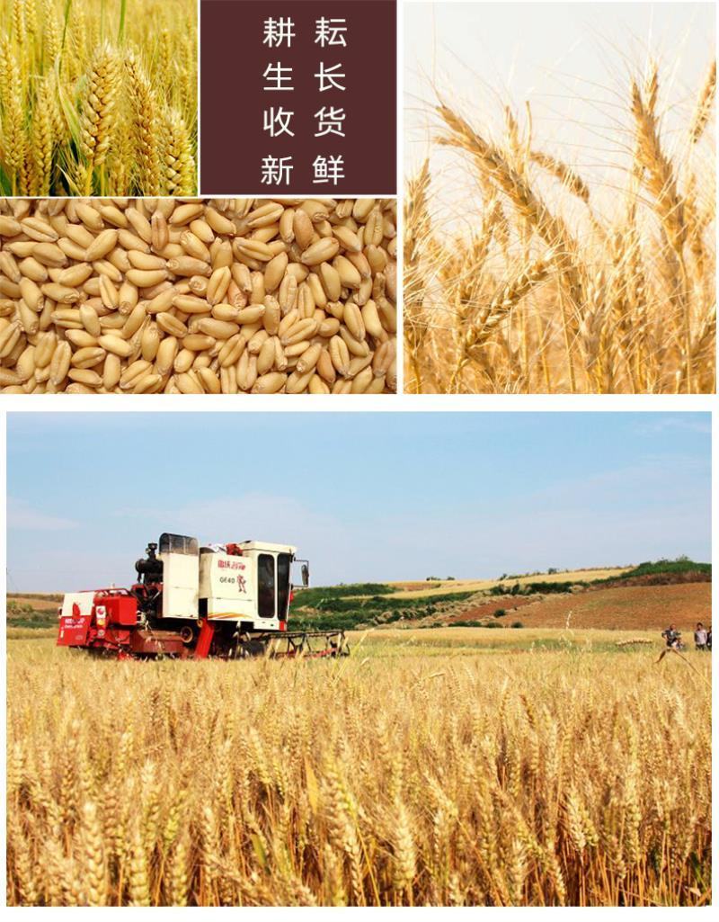 石磨面粉，传统工艺无任务添加剂，原色原味