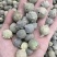 没食子,没石子,无食子,冷背药材大全,无硫,现货