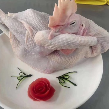 优质白条鸡579小公鸡