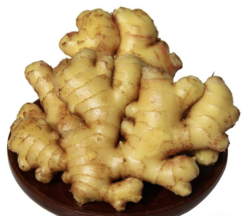新鲜的小黄姜,表皮呈淡黄色,质地细腻,适合烹饪和药膳 小黄姜实物图