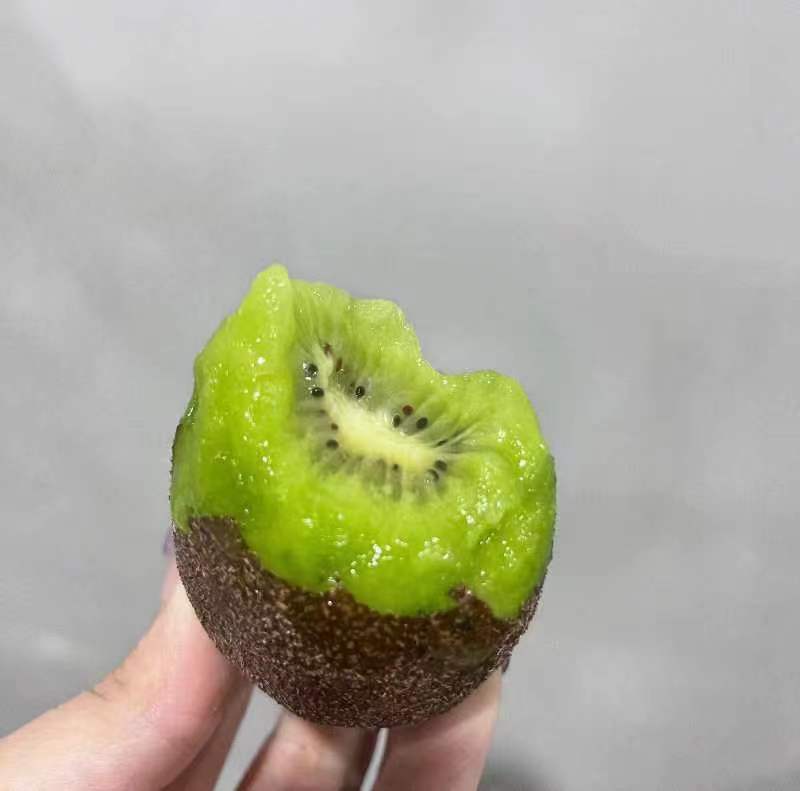 翠香猕猴桃果实特写