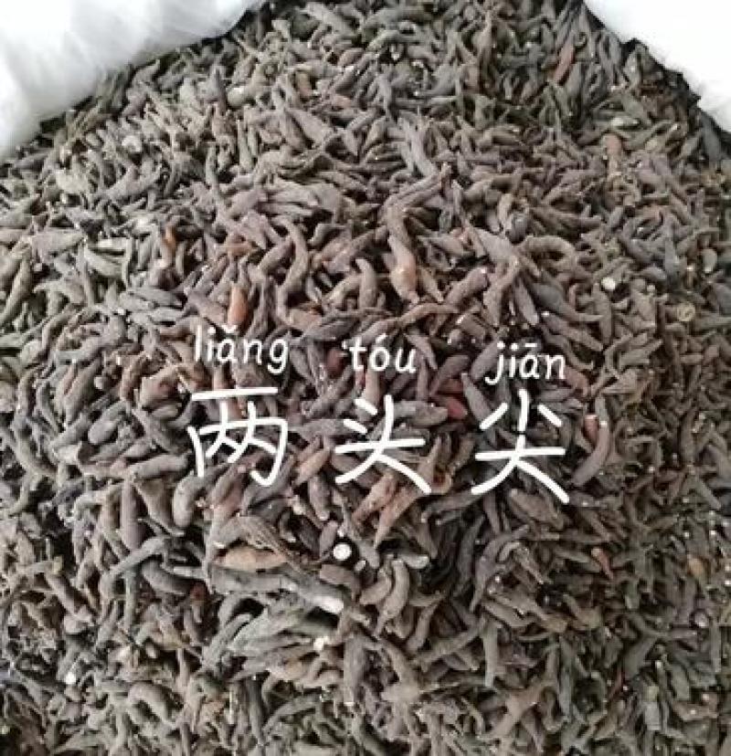 两头尖，竹节香附，红背银莲花，新货无硫，现货全国发货