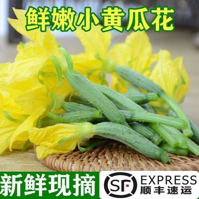 【新鲜迷你小黄瓜花】小青瓜花顶花水果黄瓜苗小乳瓜餐厅酒店