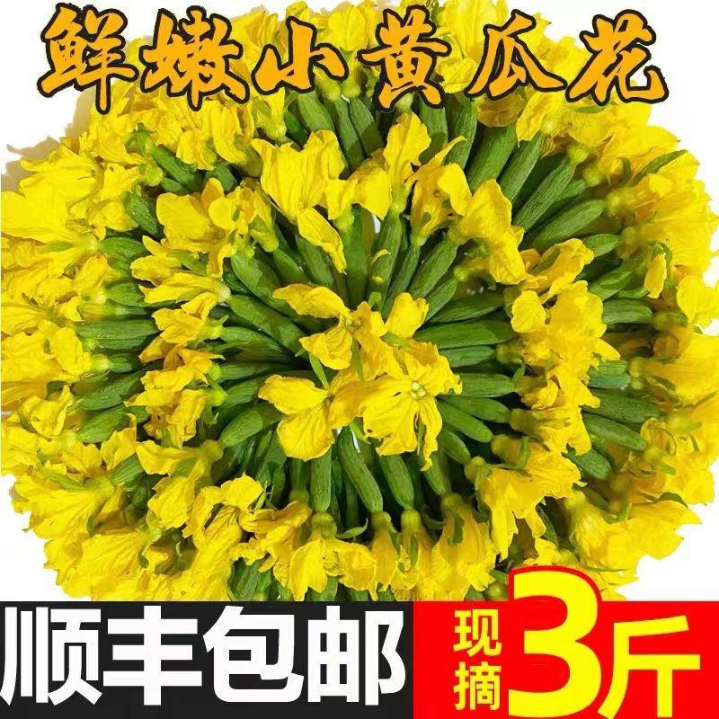 【新鲜迷你小黄瓜花】小青瓜花顶花水果黄瓜苗小乳瓜餐厅酒店