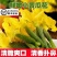 【新鲜迷你小黄瓜花】小青瓜花顶花水果黄瓜苗小乳瓜餐厅酒店