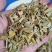 铁树果，铁树花，铁树叶，中药材冷背药材大全