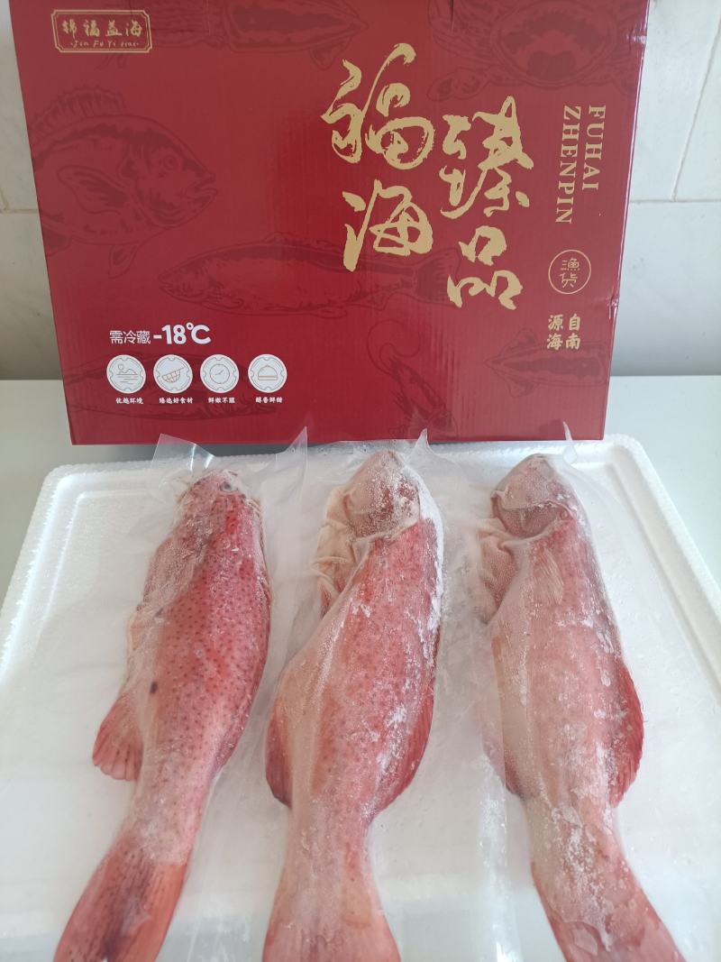海鲜大礼包-东星斑礼包