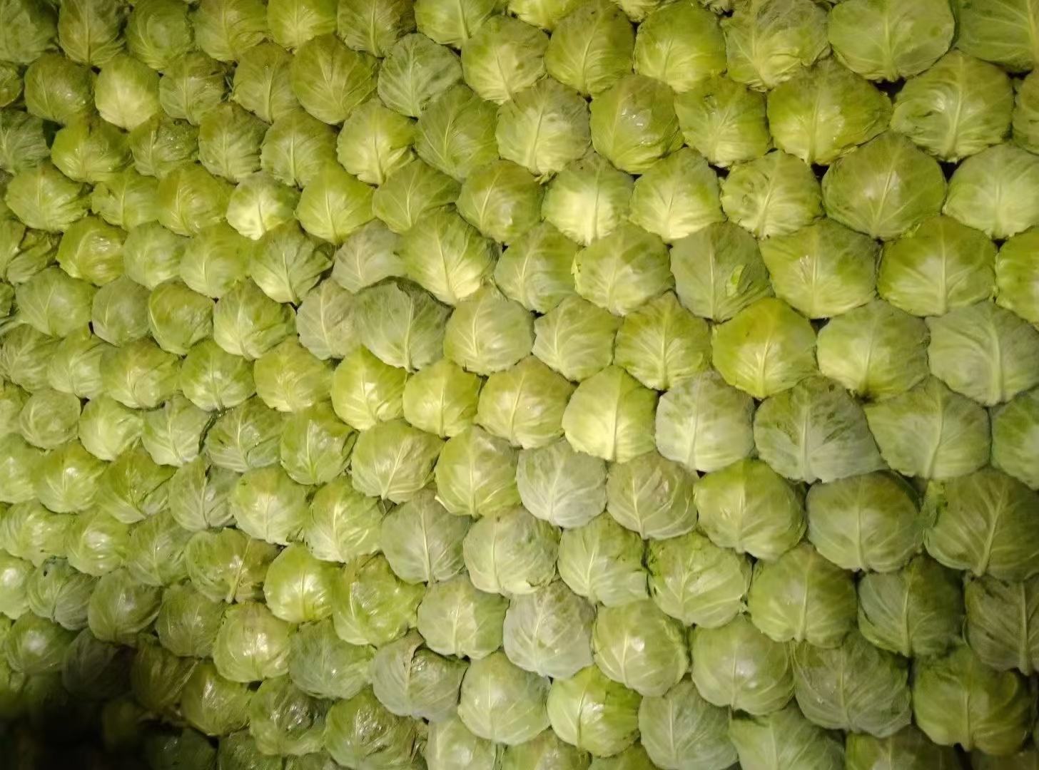 紫甘蓝榨汁过程