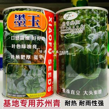 晓富墨玉苏州青种子四季蔬菜种籽耐热基地绿油亮青菜种子甜嫩