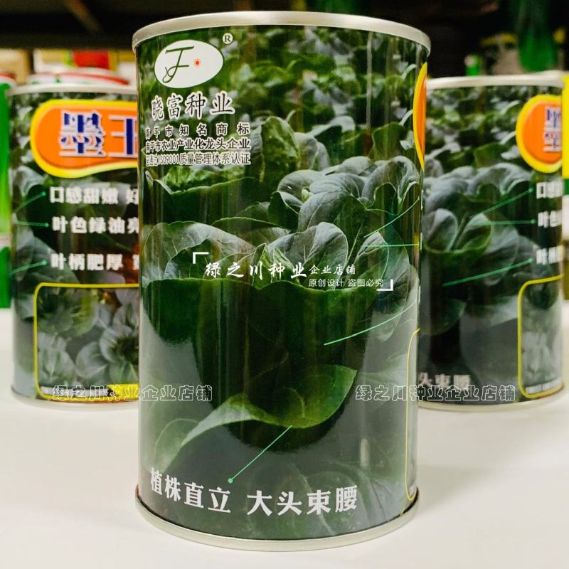 晓富墨玉苏州青种子四季蔬菜种籽耐热基地绿油亮青菜种子甜嫩