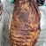 【腊排骨】烟熏大腊排（腊肉香肠源头工厂一手货源量大从优）