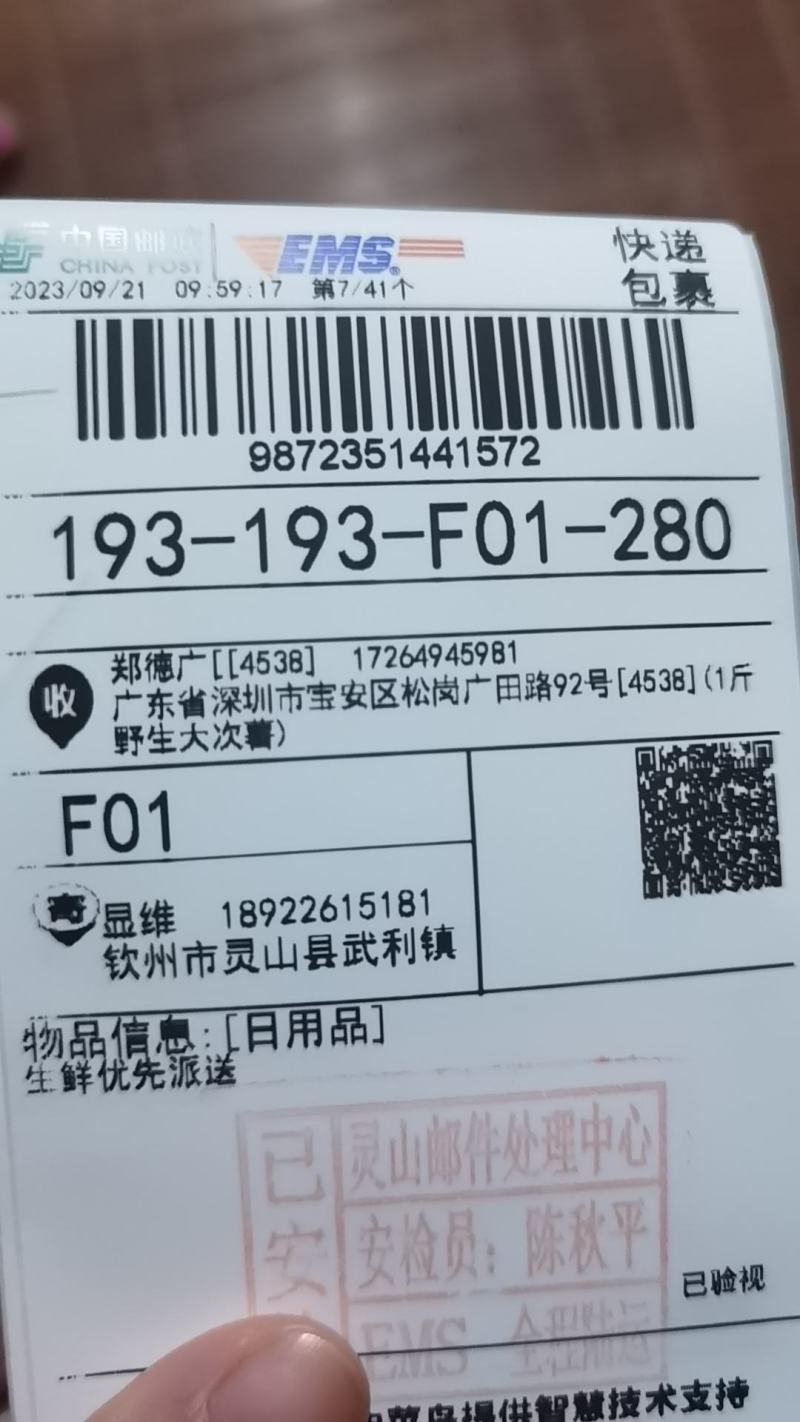 高产牛大力苗，不给结薯包赔。