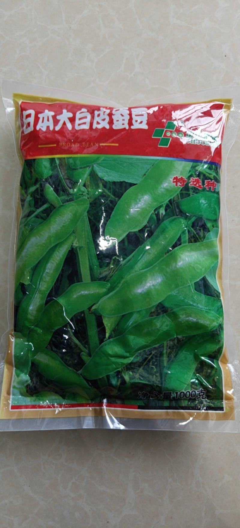 蚕豆大粒种子特大高产日本大白皮蚕豆种子罗汉豆种籽