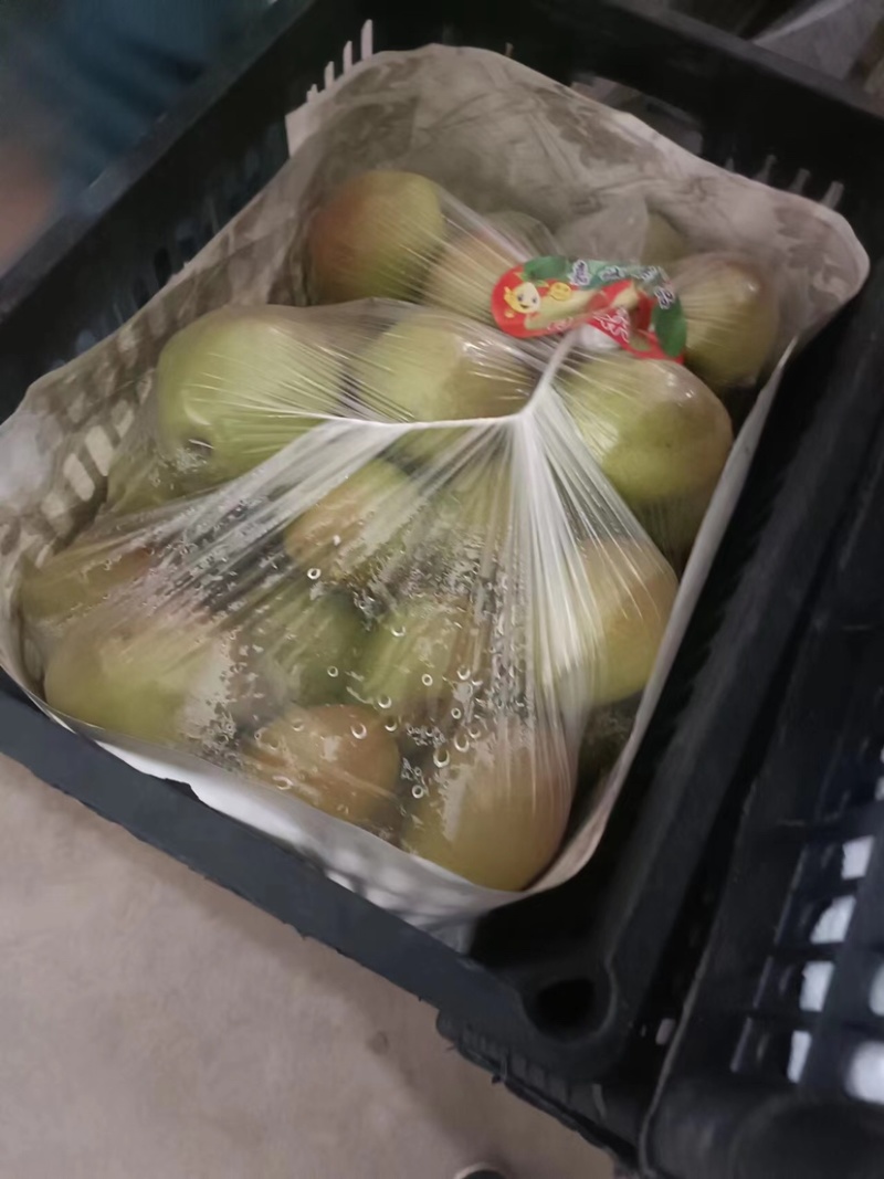 红香酥梨实力供应诚信经营质量保证价格美丽