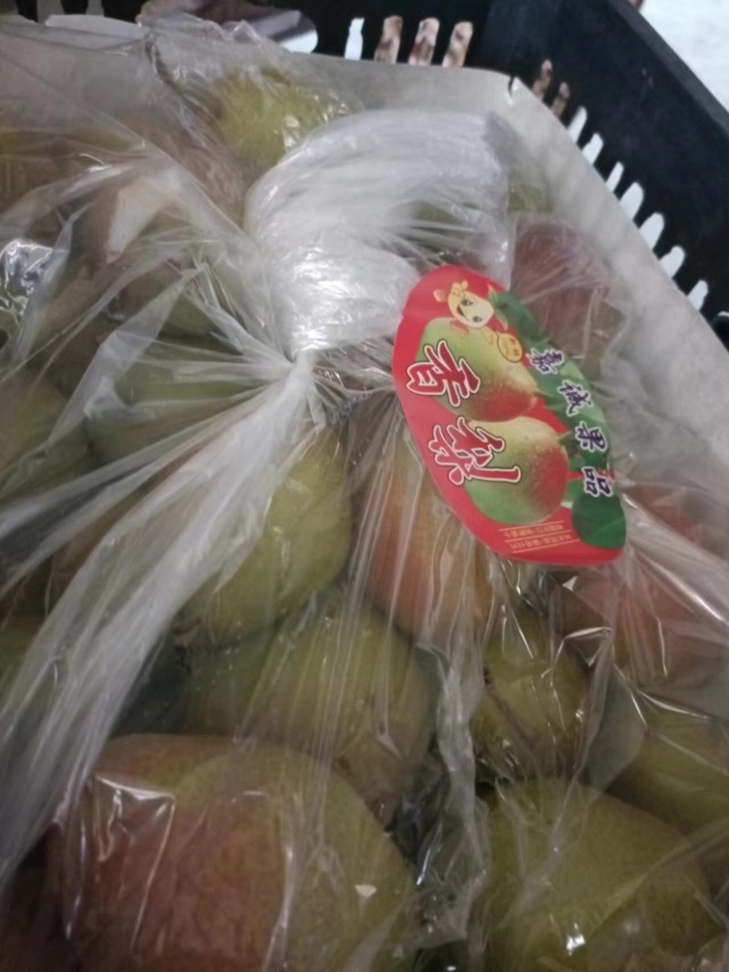 红香酥梨实力供应诚信经营质量保证价格美丽
