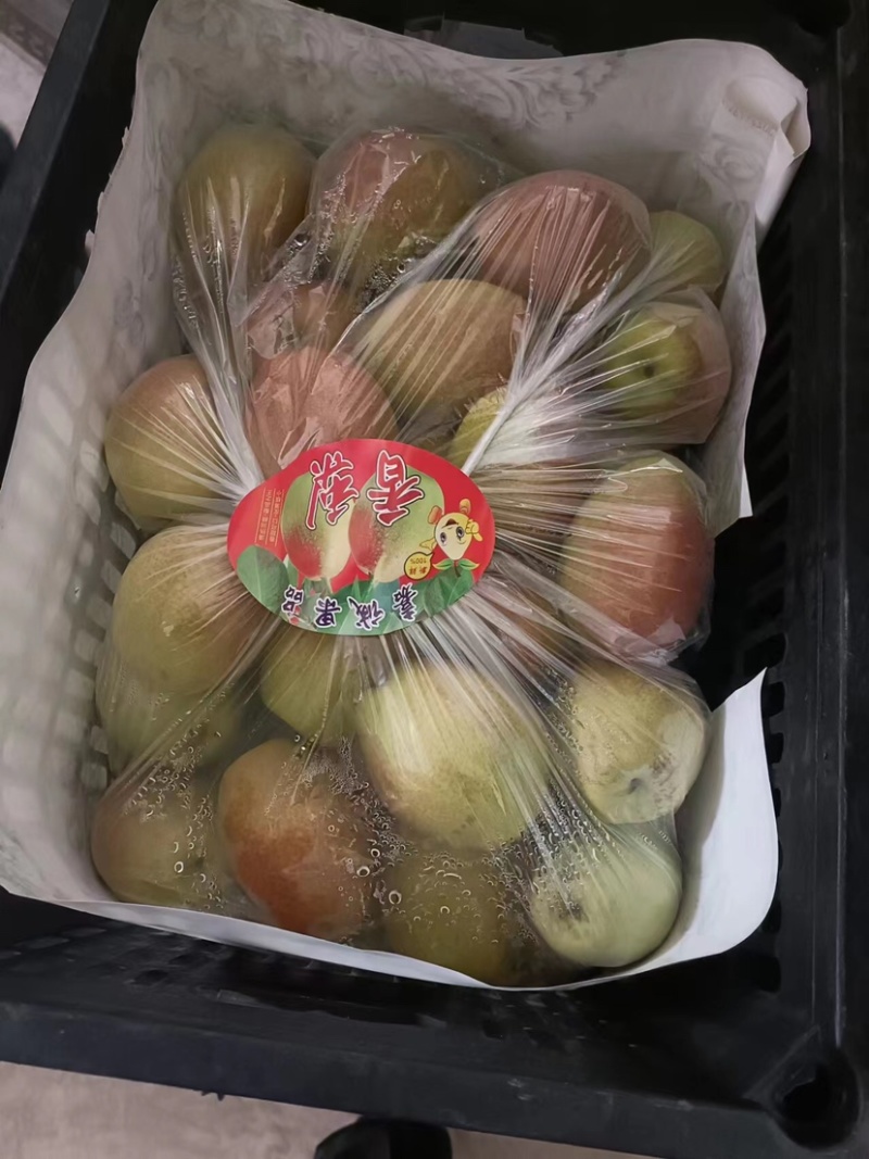 红香酥梨实力供应诚信经营质量保证价格美丽