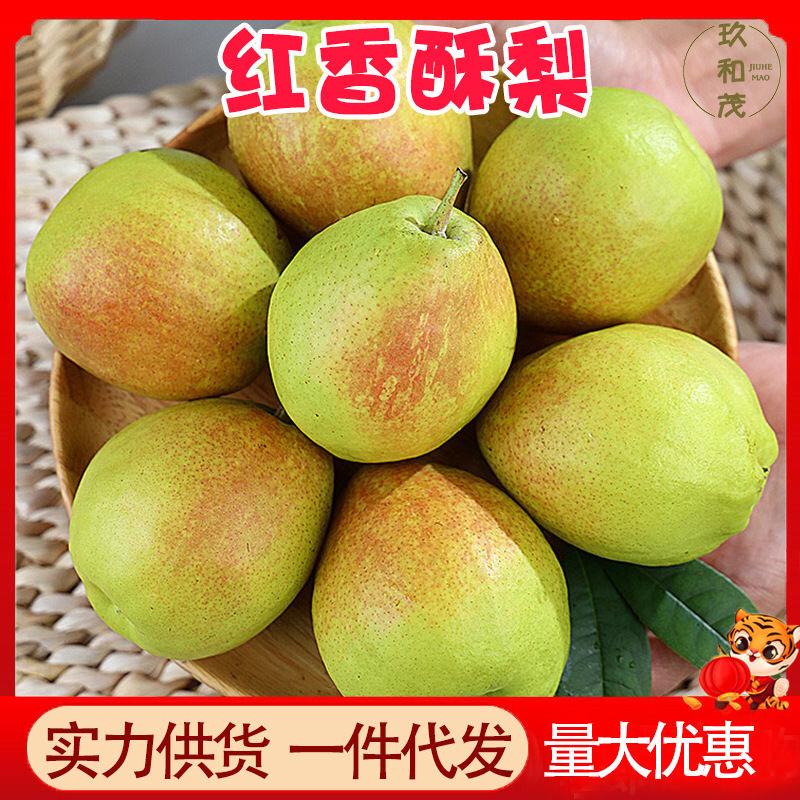 红香酥梨实力供应诚信经营质量保证价格美丽