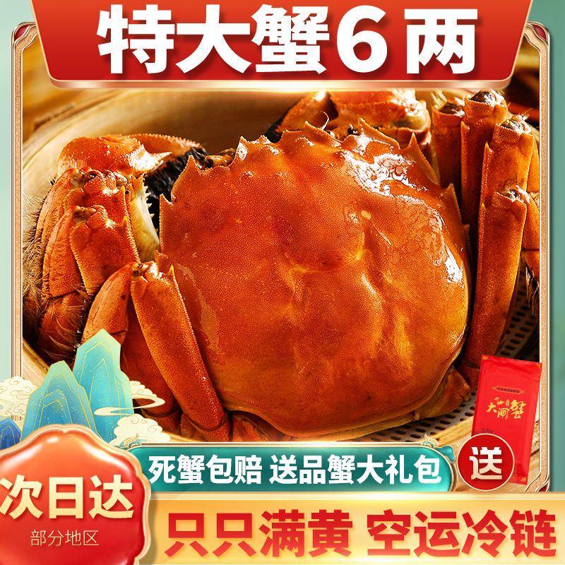 特大螃蟹六月黄大闸蟹鲜活螃蟹批发阳澄湖镇发现货海鲜礼盒6