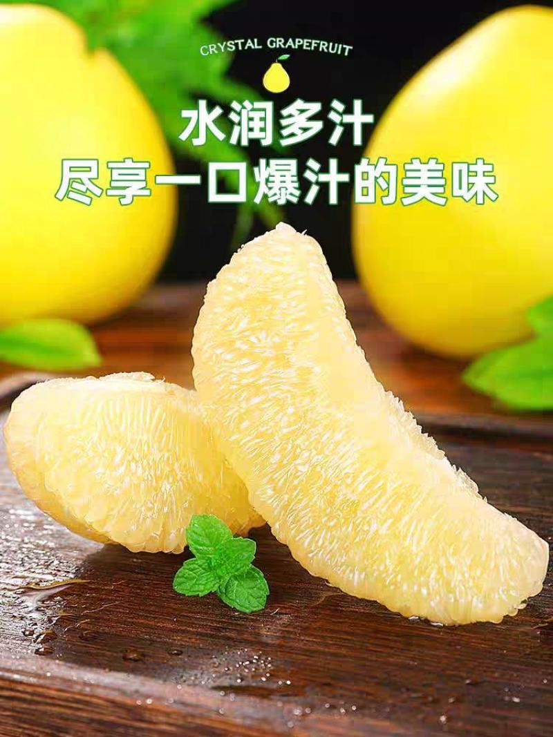【热卖中】精品白心柚产地批发大量供应甜度高水分足