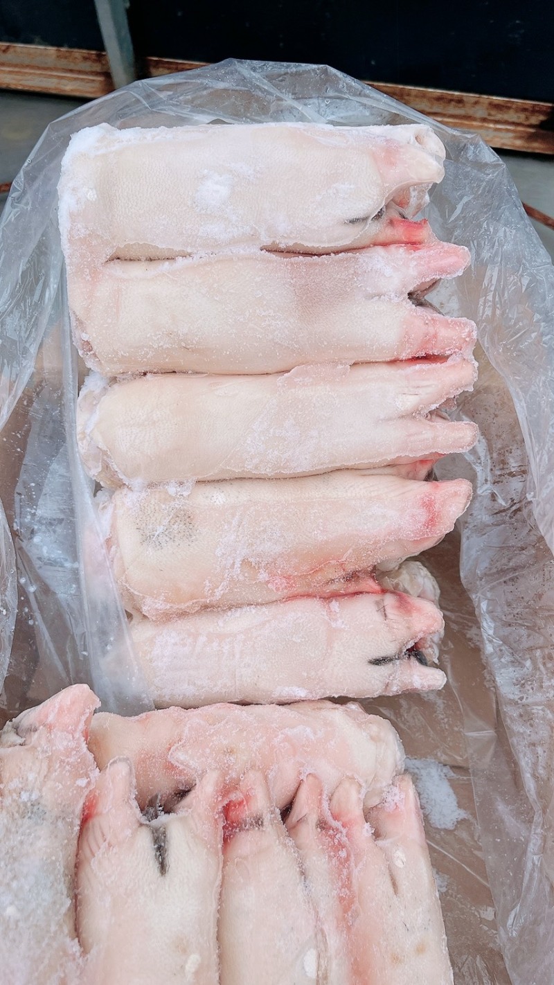猪蹄-黑猪一级混蹄，常年屠宰生态黑猪，生态猪，放心肉