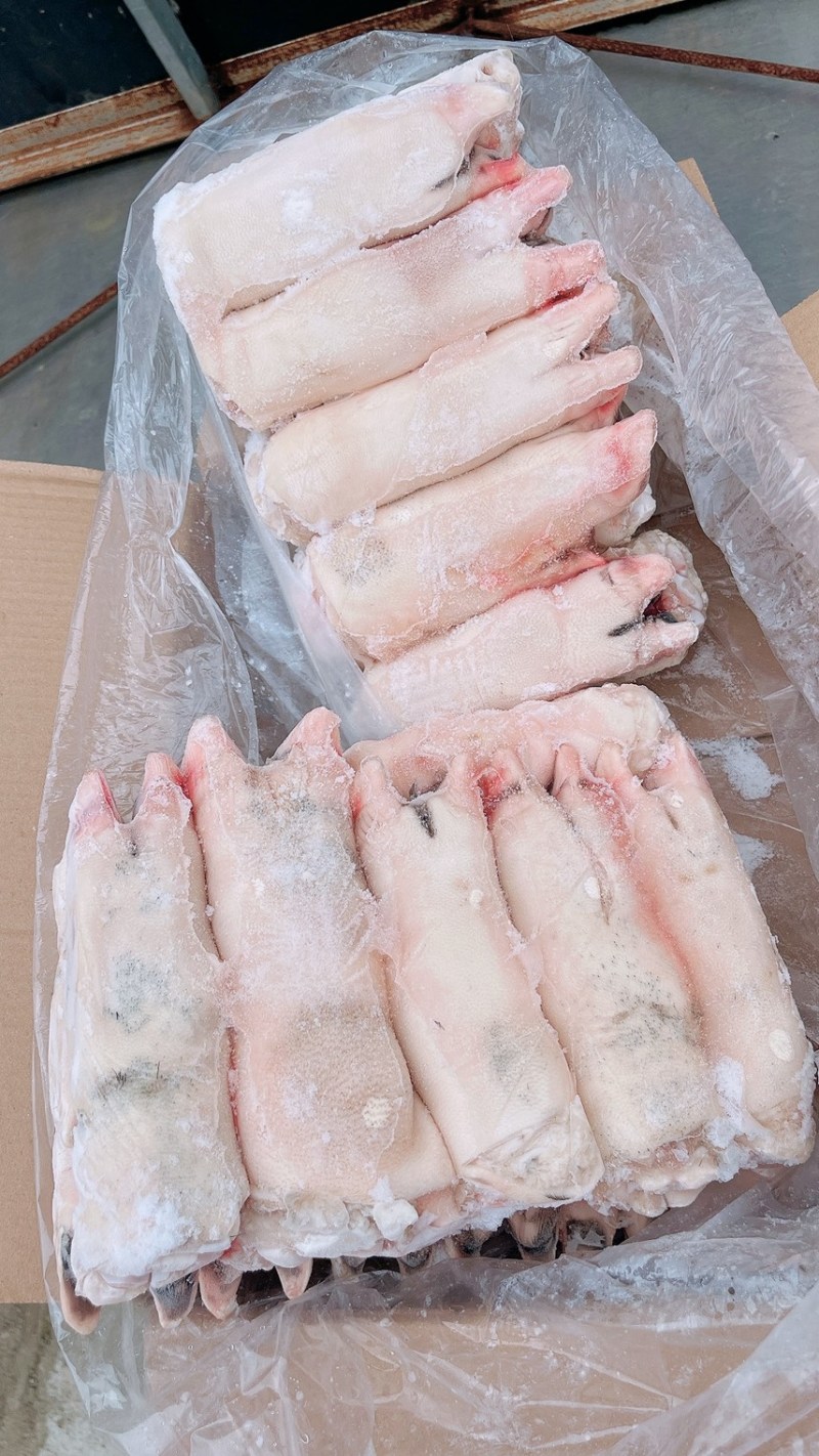 猪蹄-黑猪一级混蹄，常年屠宰生态黑猪，生态猪，放心肉