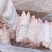 猪蹄-黑猪一级混蹄，常年屠宰生态黑猪，生态猪，放心肉