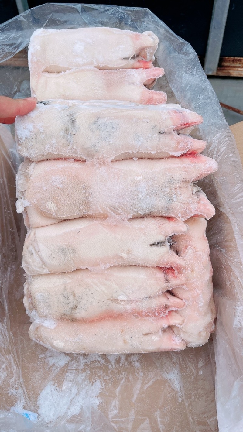 猪蹄-黑猪一级混蹄，常年屠宰生态黑猪，生态猪，放心肉