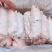 猪蹄-黑猪一级混蹄，常年屠宰生态黑猪，生态猪，放心肉