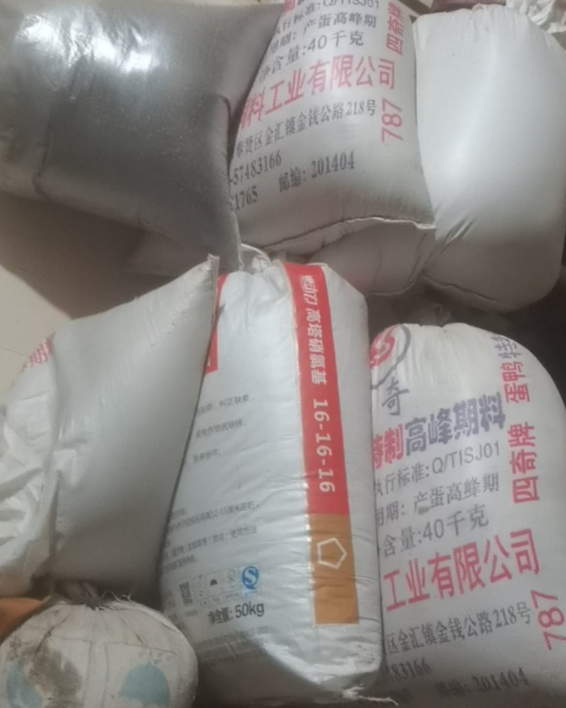 自家种的黑芝麻和白芝麻