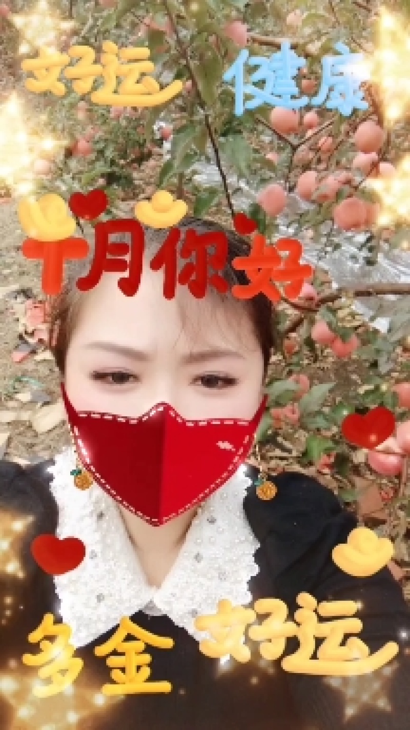 富士