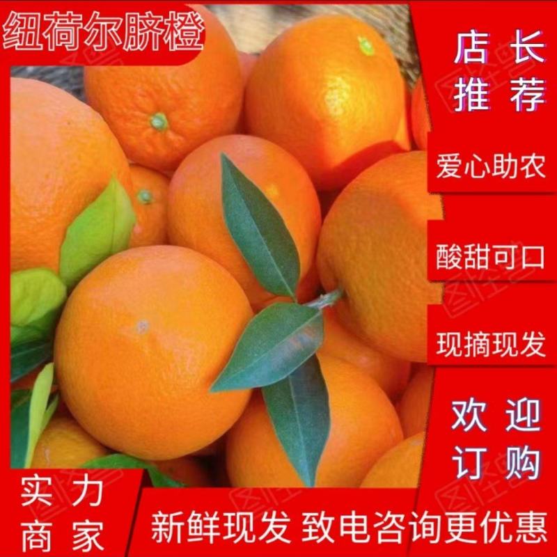 【精选】湖北宜昌纽荷尔脐橙大量供应果园看货量大从优