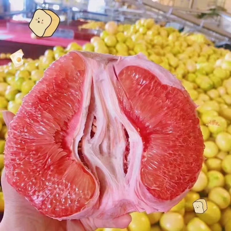 平和琯溪蜜柚