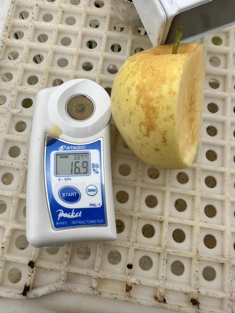 维纳斯黄金高次果