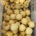 维纳斯黄金高次果