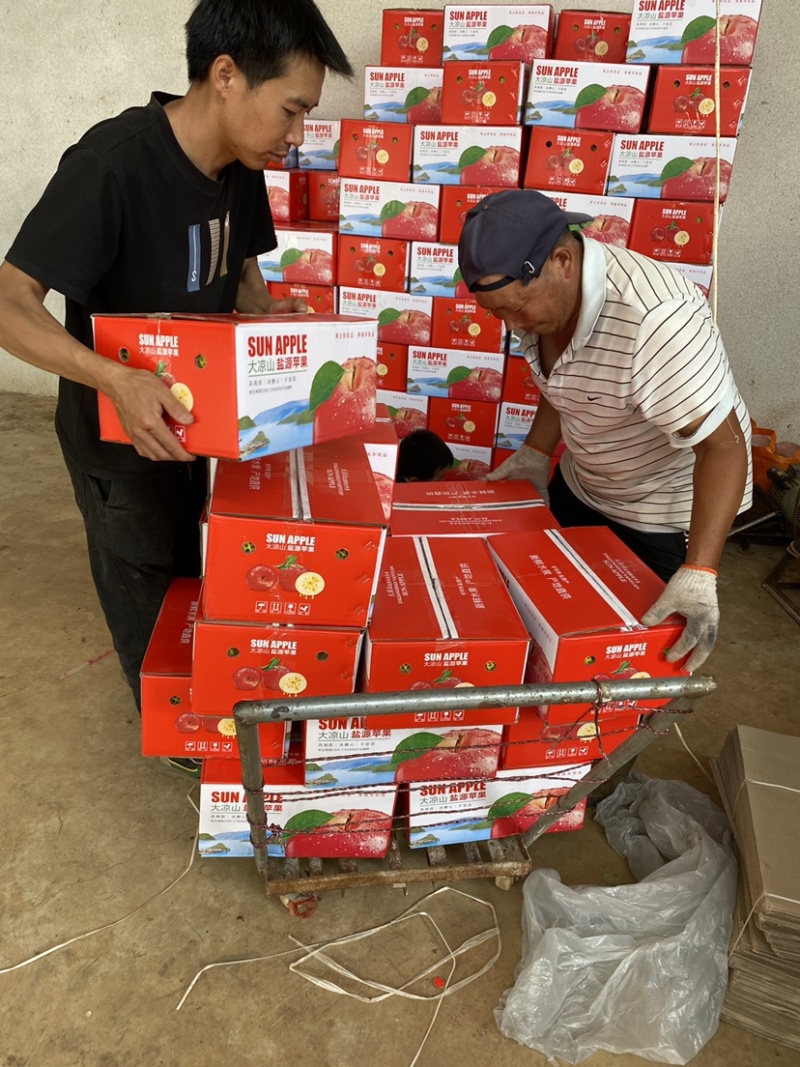 盐源丑苹果1.6元起